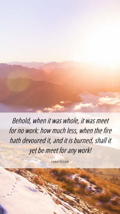 Picture 06 - Ezekiel 15:5 ASV Mobile Phone Wallpaper - Behold, when it was whole, it was meet for no - Mobile Bible Verse Wallpaper