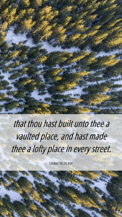 Picture 06 - Ezekiel 16:24 ASV Mobile Phone Wallpaper - that thou hast built unto thee a vaulted place, - Mobile Bible Verse Wallpaper