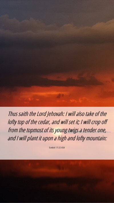 Picture 06 - Ezekiel 17:22 ASV Mobile Phone Wallpaper - Thus saith the Lord Jehovah: I will also take of - Mobile Bible Verse Wallpaper
