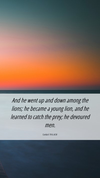 Picture 06 - Ezekiel 19:6 ASV Mobile Phone Wallpaper - And he went up and down among the lions; he - Mobile Bible Verse Wallpaper