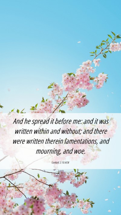 Picture 06 - Ezekiel 2:10 ASV Mobile Phone Wallpaper - And he spread it before me: and it was written - Mobile Bible Verse Wallpaper