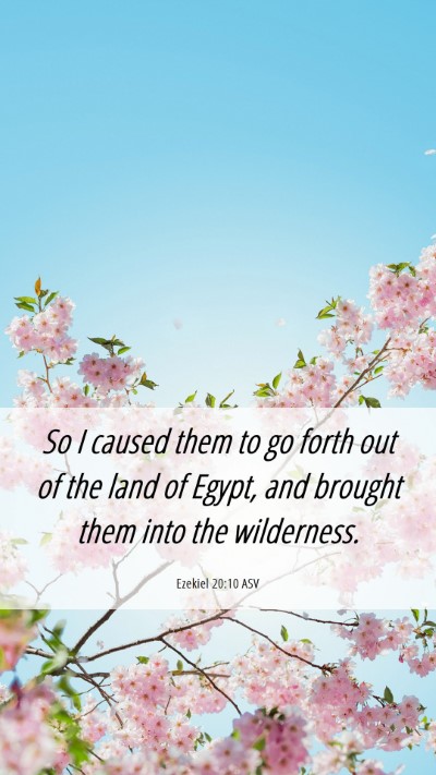 Picture 06 - Ezekiel 20:10 ASV Mobile Phone Wallpaper - So I caused them to go forth out of the land of - Mobile Bible Verse Wallpaper