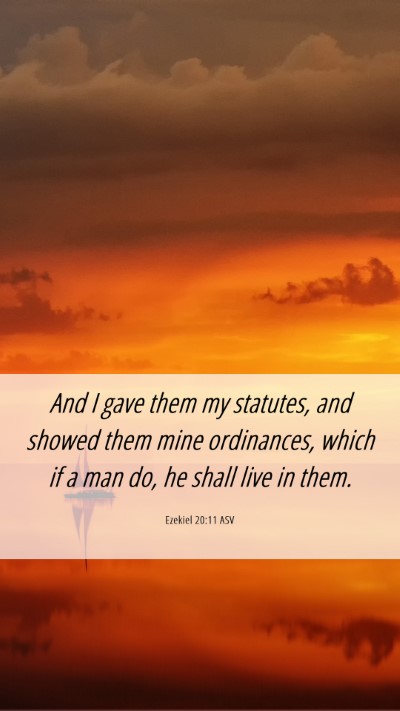 Picture 06 - Ezekiel 20:11 ASV Mobile Phone Wallpaper - And I gave them my statutes, and showed them mine - Mobile Bible Verse Wallpaper
