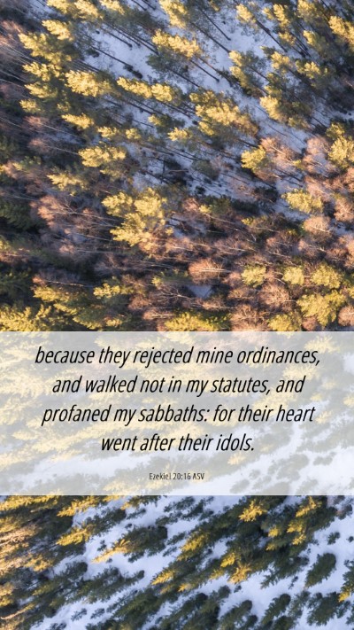 Picture 06 - Ezekiel 20:16 ASV Mobile Phone Wallpaper - because they rejected mine ordinances, and walked - Mobile Bible Verse Wallpaper