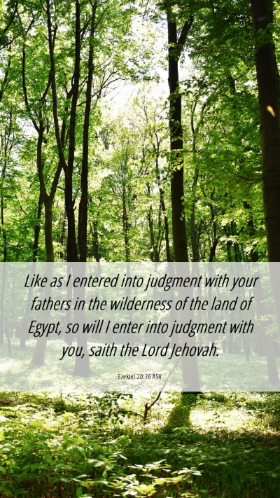 Picture 06 - Ezekiel 20:36 ASV Mobile Phone Wallpaper - Like as I entered into judgment with your fathers - Mobile Bible Verse Wallpaper