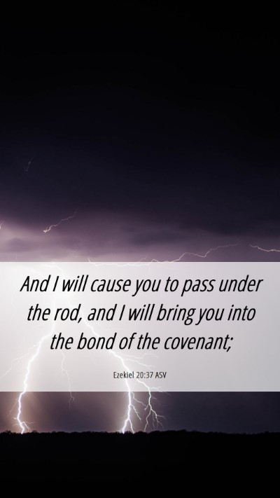 Picture 06 - Ezekiel 20:37 ASV Mobile Phone Wallpaper - And I will cause you to pass under the rod, and I - Mobile Bible Verse Wallpaper