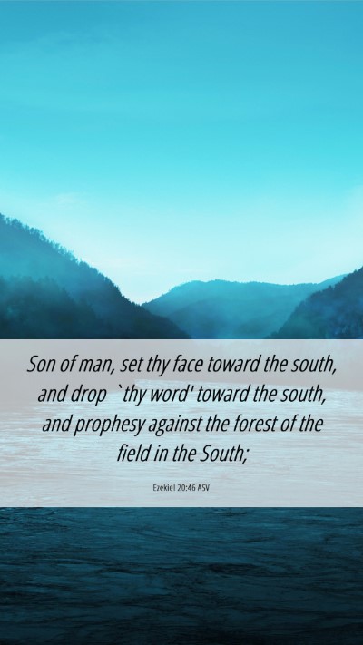 Picture 06 - Ezekiel 20:46 ASV Mobile Phone Wallpaper - Son of man, set thy face toward the south, and - Mobile Bible Verse Wallpaper