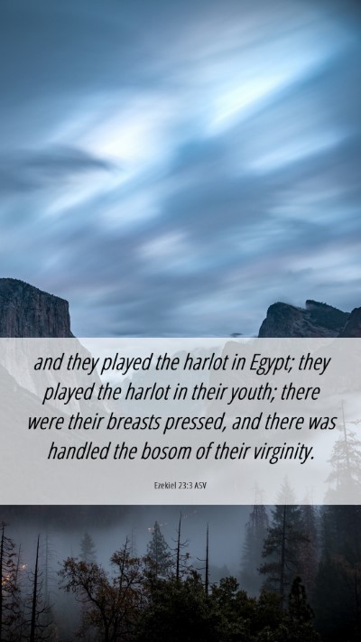 Picture 06 - Ezekiel 23:3 ASV Mobile Phone Wallpaper - and they played the harlot in Egypt; they played - Mobile Bible Verse Wallpaper