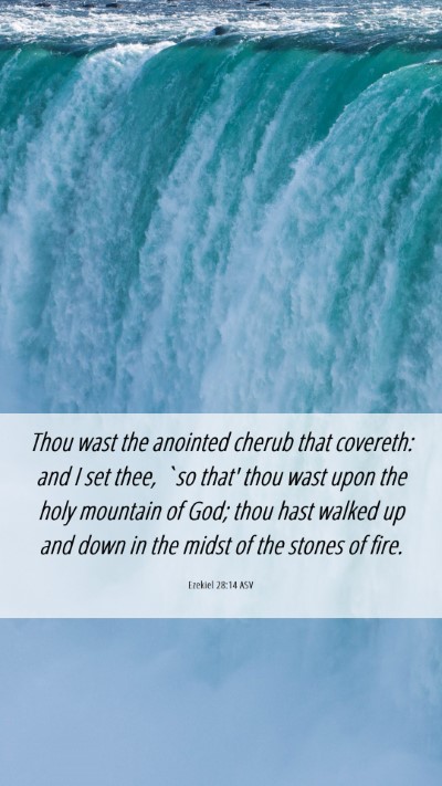 Picture 06 - Ezekiel 28:14 ASV Mobile Phone Wallpaper - Thou wast the anointed cherub that covereth: and - Mobile Bible Verse Wallpaper