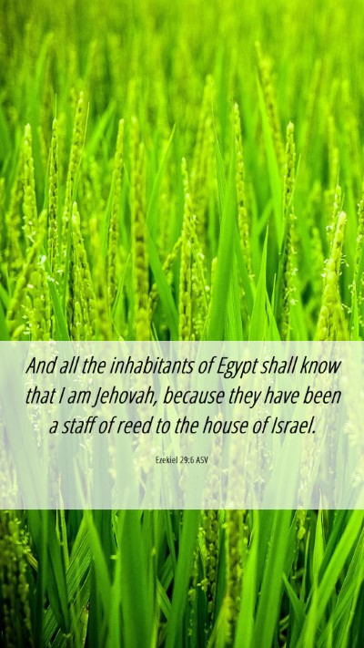 Picture 06 - Ezekiel 29:6 ASV Mobile Phone Wallpaper - And all the inhabitants of Egypt shall know that - Mobile Bible Verse Wallpaper