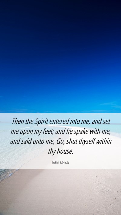 Picture 06 - Ezekiel 3:24 ASV Mobile Phone Wallpaper - Then the Spirit entered into me, and set me upon - Mobile Bible Verse Wallpaper