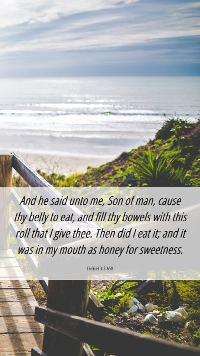 Picture 06 - Ezekiel 3:3 ASV Mobile Phone Wallpaper - And he said unto me, Son of man, cause thy belly - Mobile Bible Verse Wallpaper