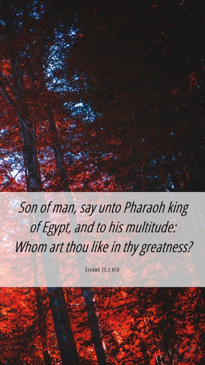 Picture 06 - Ezekiel 31:2 ASV Mobile Phone Wallpaper - Son of man, say unto Pharaoh king of Egypt, and - Mobile Bible Verse Wallpaper