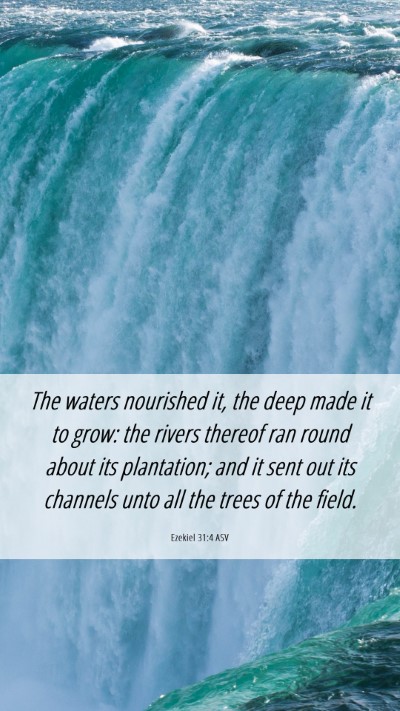 Picture 06 - Ezekiel 31:4 ASV Mobile Phone Wallpaper - The waters nourished it, the deep made it to - Mobile Bible Verse Wallpaper