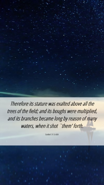 Picture 06 - Ezekiel 31:5 ASV Mobile Phone Wallpaper - Therefore its stature was exalted above all the - Mobile Bible Verse Wallpaper