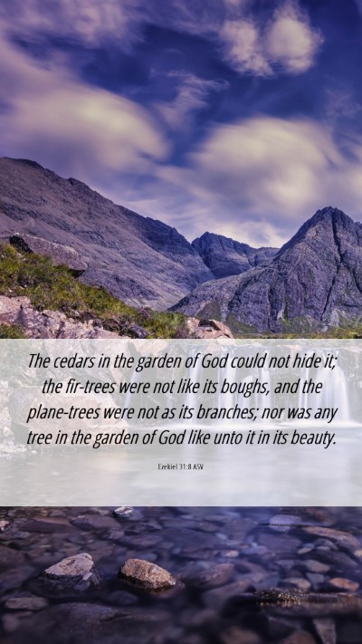 Picture 06 - Ezekiel 31:8 ASV Mobile Phone Wallpaper - The cedars in the garden of God could not hide - Mobile Bible Verse Wallpaper
