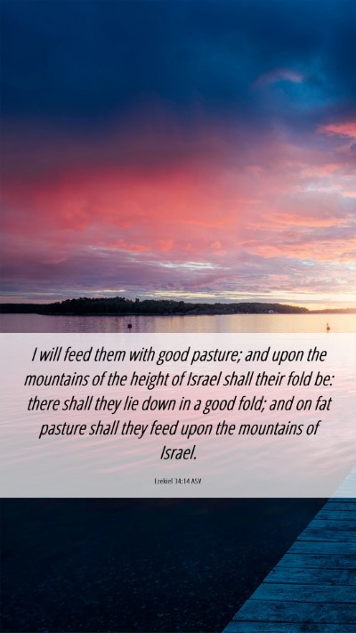 Picture 06 - Ezekiel 34:14 ASV Mobile Phone Wallpaper - I will feed them with good pasture; and upon the - Mobile Bible Verse Wallpaper