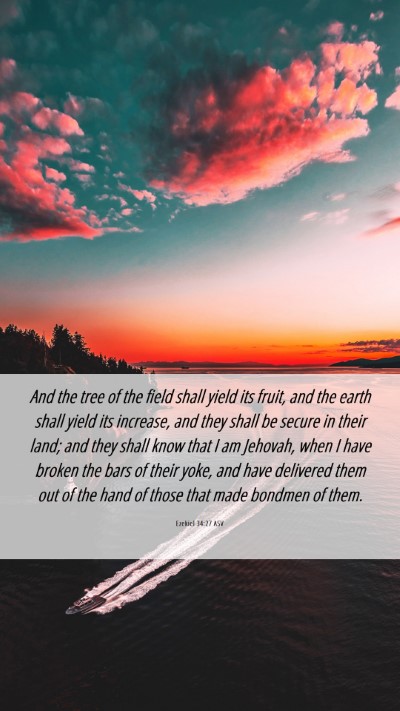 Picture 06 - Ezekiel 34:27 ASV Mobile Phone Wallpaper - And the tree of the field shall yield its fruit, - Mobile Bible Verse Wallpaper
