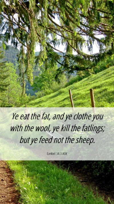 Picture 06 - Ezekiel 34:3 ASV Mobile Phone Wallpaper - Ye eat the fat, and ye clothe you with the wool, - Mobile Bible Verse Wallpaper