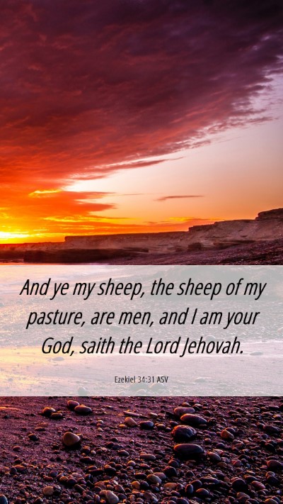 Picture 06 - Ezekiel 34:31 ASV Mobile Phone Wallpaper - And ye my sheep, the sheep of my pasture, are - Mobile Bible Verse Wallpaper