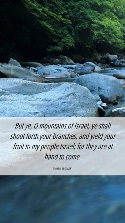 Picture 06 - Ezekiel 36:8 ASV Mobile Phone Wallpaper - But ye, O mountains of Israel, ye shall shoot - Mobile Bible Verse Wallpaper