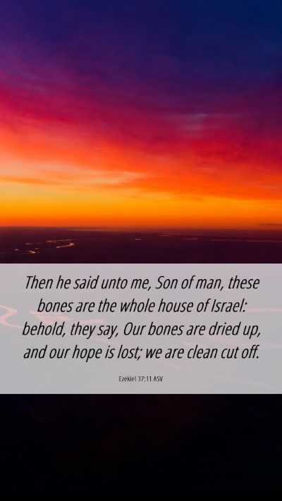Picture 06 - Ezekiel 37:11 ASV Mobile Phone Wallpaper - Then he said unto me, Son of man, these bones are - Mobile Bible Verse Wallpaper