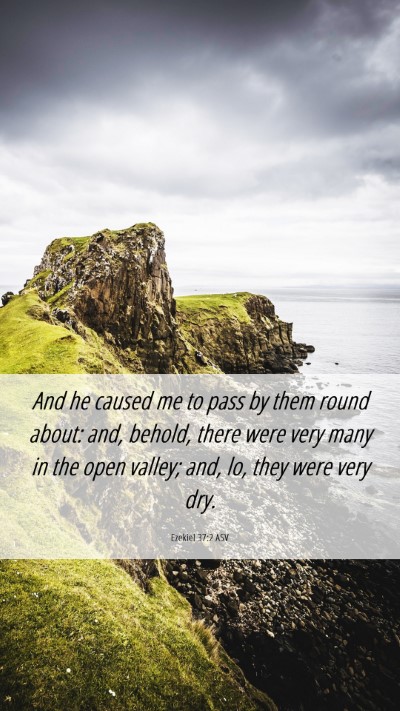 Picture 06 - Ezekiel 37:2 ASV Mobile Phone Wallpaper - And he caused me to pass by them round about: - Mobile Bible Verse Wallpaper