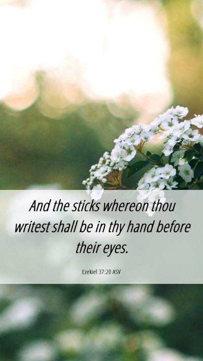 Picture 06 - Ezekiel 37:20 ASV Mobile Phone Wallpaper - And the sticks whereon thou writest shall be in - Mobile Bible Verse Wallpaper