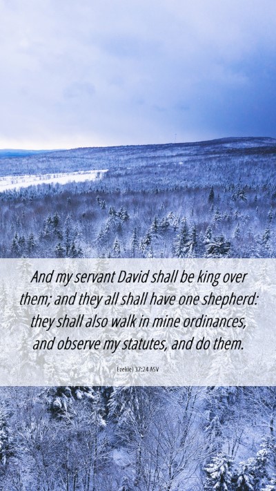 Picture 06 - Ezekiel 37:24 ASV Mobile Phone Wallpaper - And my servant David shall be king over them; and - Mobile Bible Verse Wallpaper