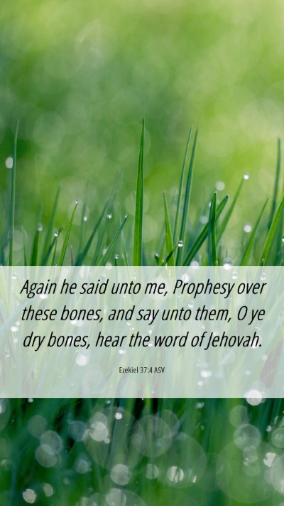 Picture 06 - Ezekiel 37:4 ASV Mobile Phone Wallpaper - Again he said unto me, Prophesy over these bones, - Mobile Bible Verse Wallpaper