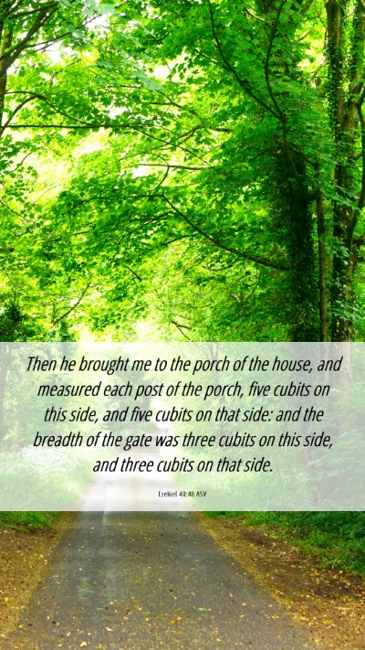 Picture 06 - Ezekiel 40:48 ASV Mobile Phone Wallpaper - Then he brought me to the porch of the house, and - Mobile Bible Verse Wallpaper