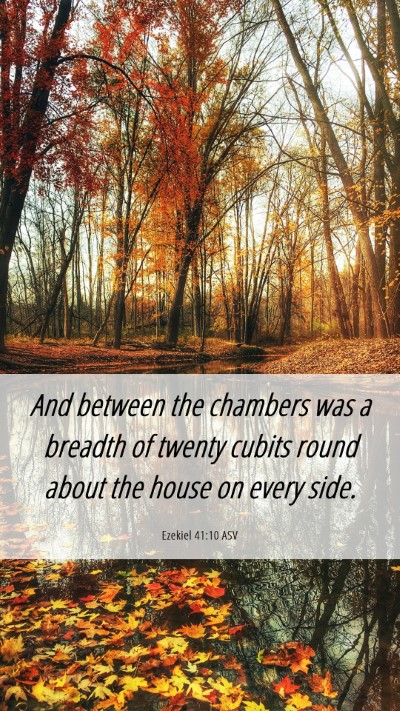 Picture 06 - Ezekiel 41:10 ASV Mobile Phone Wallpaper - And between the chambers was a breadth of twenty - Mobile Bible Verse Wallpaper