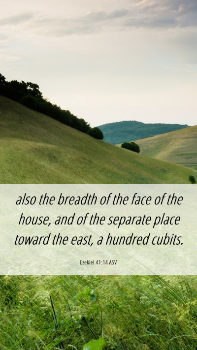 Picture 06 - Ezekiel 41:14 ASV Mobile Phone Wallpaper - also the breadth of the face of the house, and of - Mobile Bible Verse Wallpaper