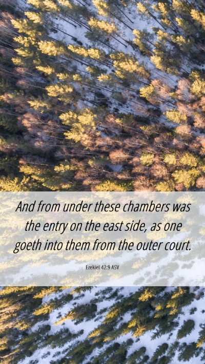 Picture 06 - Ezekiel 42:9 ASV Mobile Phone Wallpaper - And from under these chambers was the entry on - Mobile Bible Verse Wallpaper