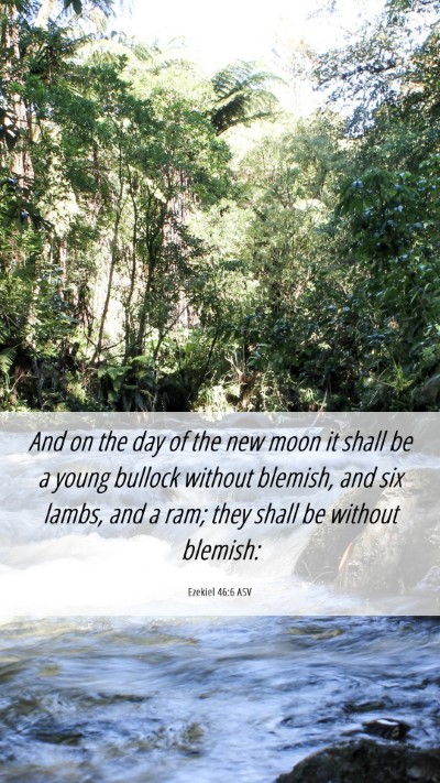 Picture 06 - Ezekiel 46:6 ASV Mobile Phone Wallpaper - And on the day of the new moon it shall be a - Mobile Bible Verse Wallpaper
