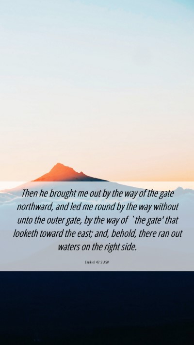 Picture 06 - Ezekiel 47:2 ASV Mobile Phone Wallpaper - Then he brought me out by the way of the gate - Mobile Bible Verse Wallpaper