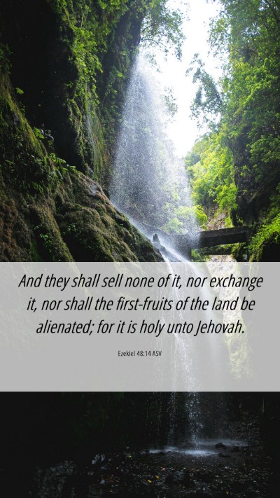Picture 06 - Ezekiel 48:14 ASV Mobile Phone Wallpaper - And they shall sell none of it, nor exchange it, - Mobile Bible Verse Wallpaper