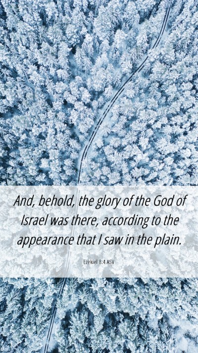 Picture 06 - Ezekiel 8:4 ASV Mobile Phone Wallpaper - And, behold, the glory of the God of Israel was - Mobile Bible Verse Wallpaper