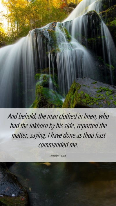 Picture 06 - Ezekiel 9:11 ASV Mobile Phone Wallpaper - And behold, the man clothed in linen, who had the - Mobile Bible Verse Wallpaper