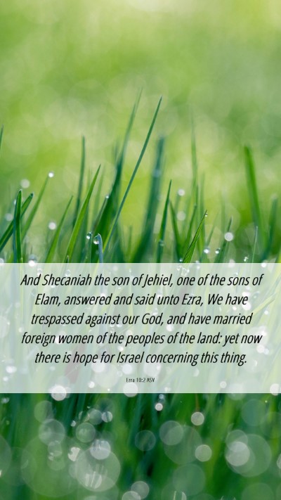 Picture 06 - Ezra 10:2 ASV Mobile Phone Wallpaper - And Shecaniah the son of Jehiel, one of the sons - Mobile Bible Verse Wallpaper