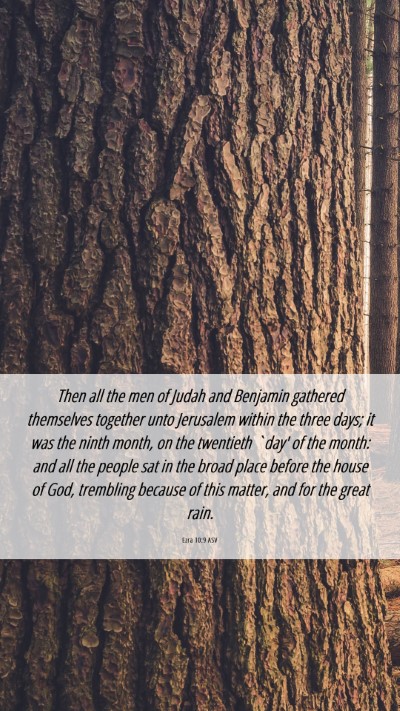 Picture 06 - Ezra 10:9 ASV Mobile Phone Wallpaper - Then all the men of Judah and Benjamin gathered - Mobile Bible Verse Wallpaper