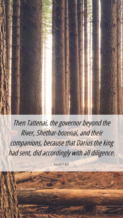 Picture 06 - Ezra 6:13 ASV Mobile Phone Wallpaper - Then Tattenai, the governor beyond the River, - Mobile Bible Verse Wallpaper