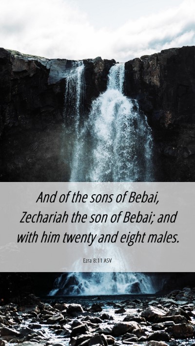 Picture 06 - Ezra 8:11 ASV Mobile Phone Wallpaper - And of the sons of Bebai, Zechariah the son of - Mobile Bible Verse Wallpaper