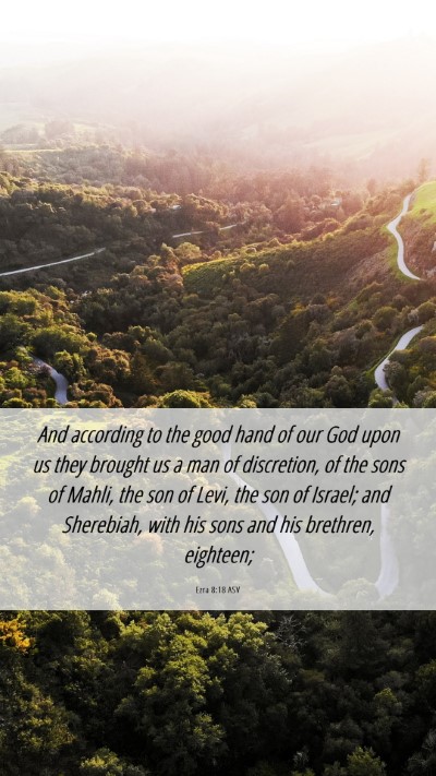 Picture 06 - Ezra 8:18 ASV Mobile Phone Wallpaper - And according to the good hand of our God upon us - Mobile Bible Verse Wallpaper
