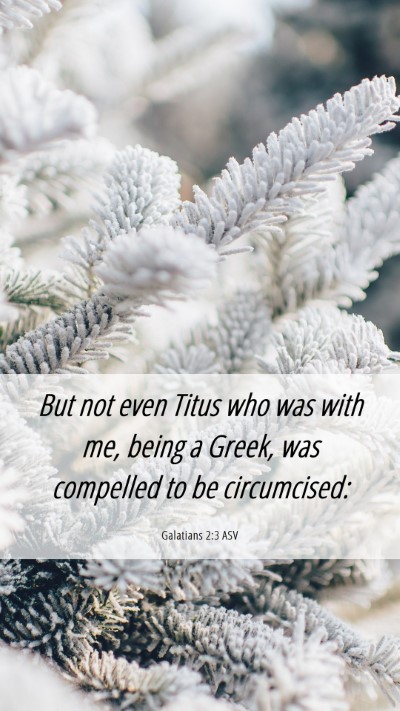 Picture 06 - Galatians 2:3 ASV Mobile Phone Wallpaper - But not even Titus who was with me, being a - Mobile Bible Verse Wallpaper
