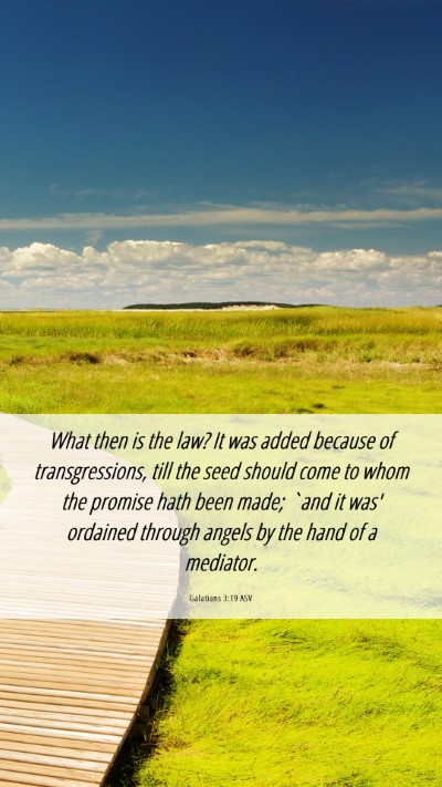 Picture 06 - Galatians 3:19 ASV Mobile Phone Wallpaper - What then is the law? It was added because of - Mobile Bible Verse Wallpaper