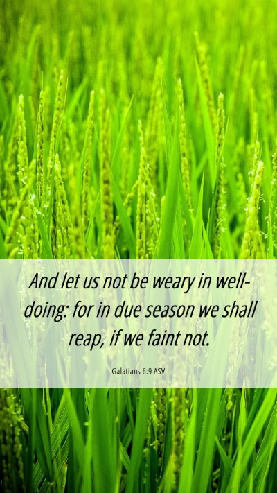 Picture 06 - Galatians 6:9 ASV Mobile Phone Wallpaper - And let us not be weary in well-doing: for in due - Mobile Bible Verse Wallpaper