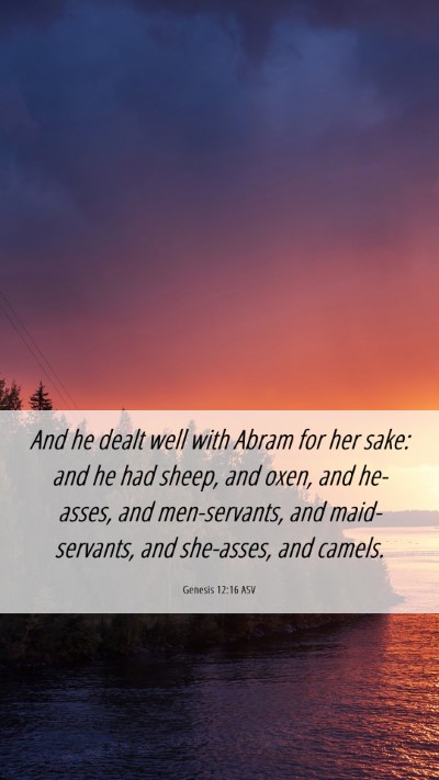 Picture 06 - Genesis 12:16 ASV Mobile Phone Wallpaper - And he dealt well with Abram for her sake: and he - Mobile Bible Verse Wallpaper