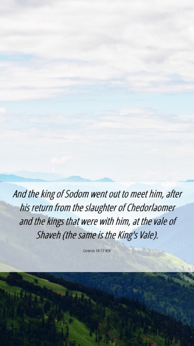 Picture 06 - Genesis 14:17 ASV Mobile Phone Wallpaper - And the king of Sodom went out to meet him, after - Mobile Bible Verse Wallpaper