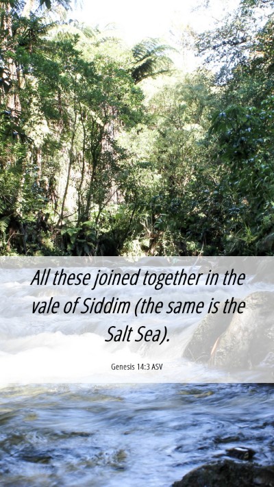 Picture 06 - Genesis 14:3 ASV Mobile Phone Wallpaper - All these joined together in the vale of Siddim - Mobile Bible Verse Wallpaper